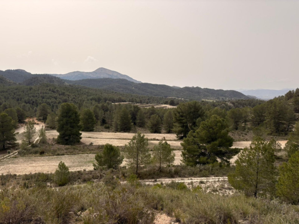Land In Petrer, Spain (100.000 M² Plot)