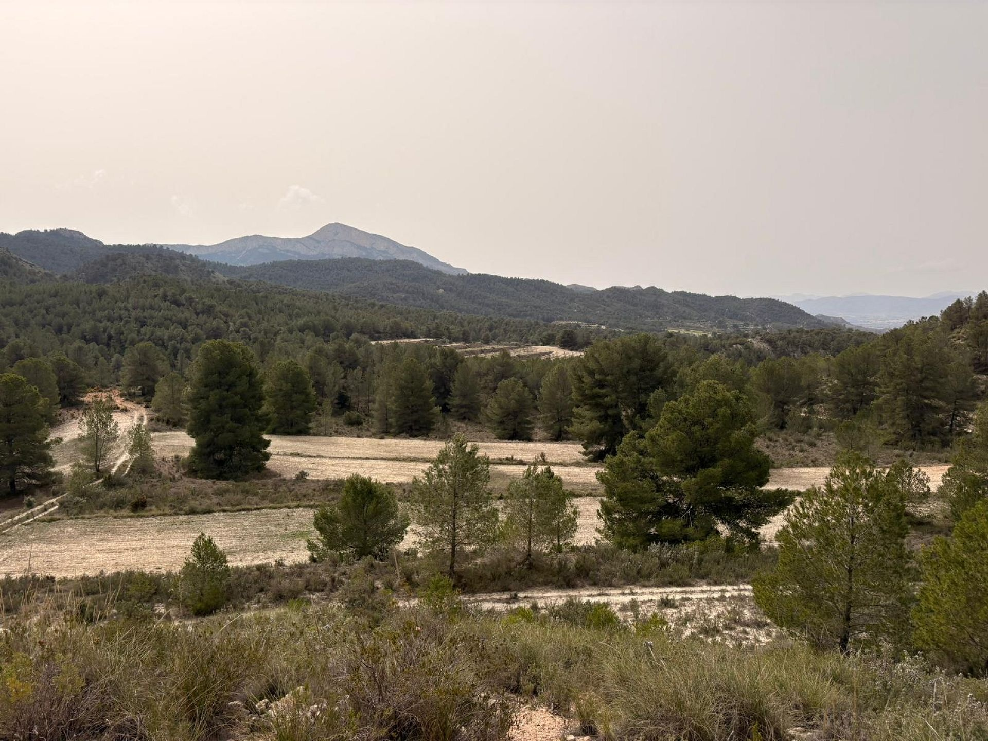 Land In Petrer, Spain (100.000 M² Plot)