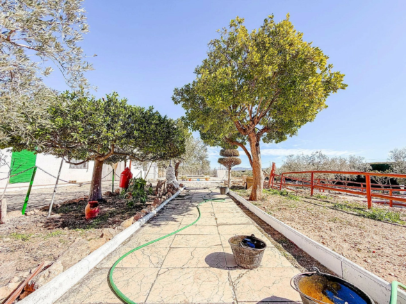 6-bedroom Country House In Pinoso, Spain (291 M²)