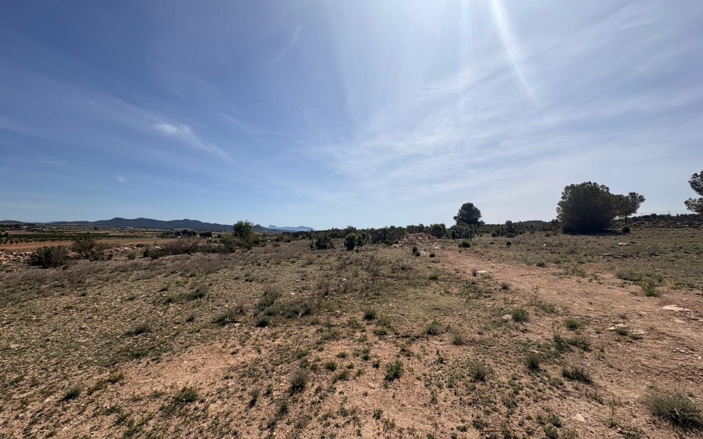 Land In Pinoso, Spain (10.000 M² Plot)