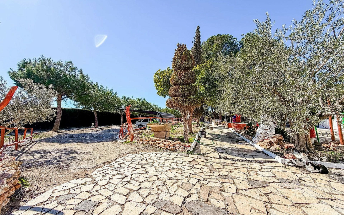 6-bedroom Country House In Pinoso, Spain (291 M²)