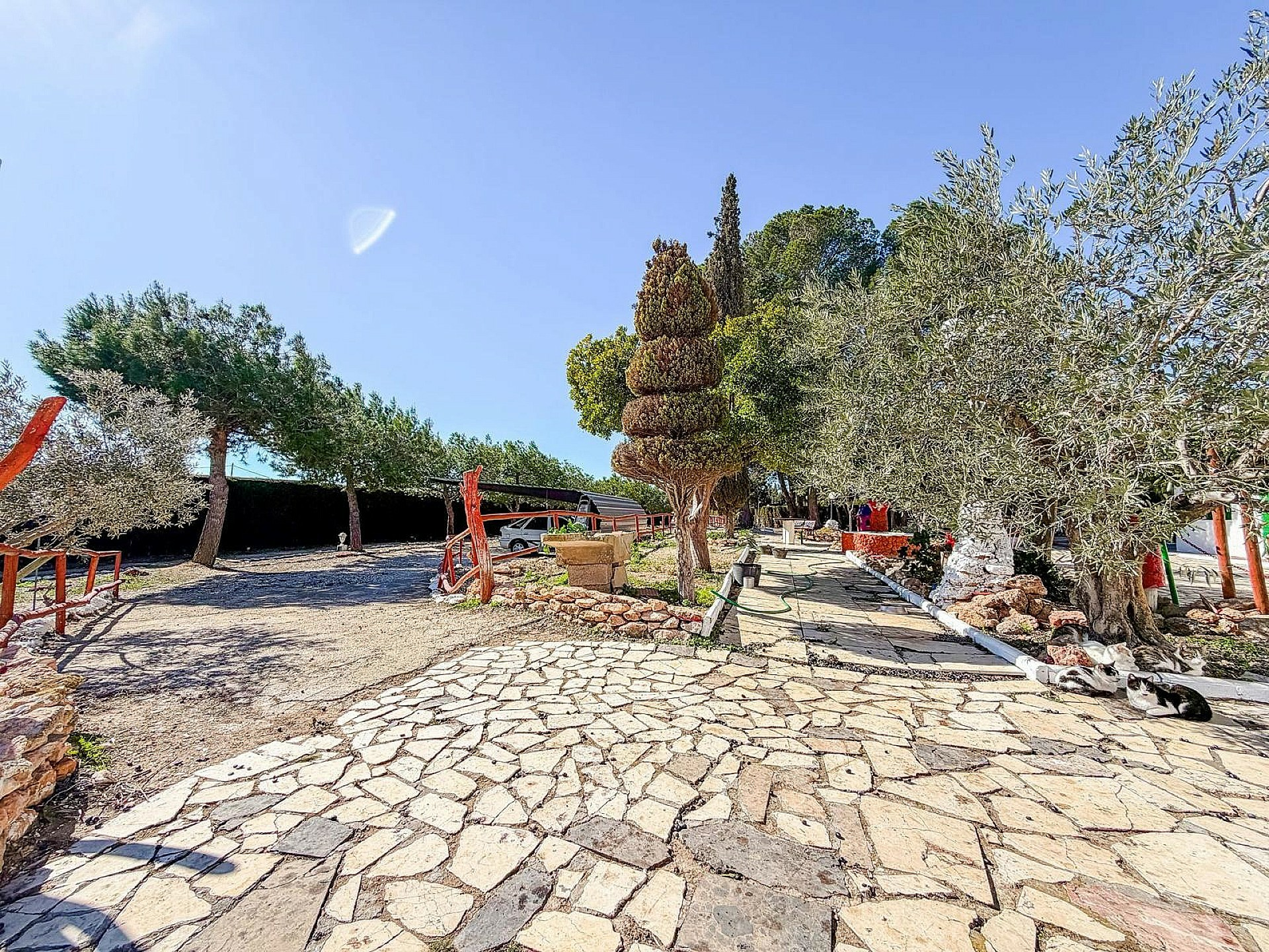 6-bedroom Country House In Pinoso, Spain (291 M²)
