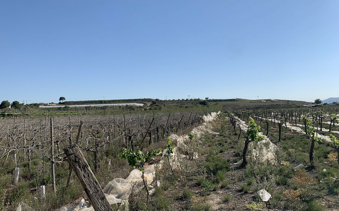 Land In Monforte Del Cid, Spain (17.816 M² Plot)