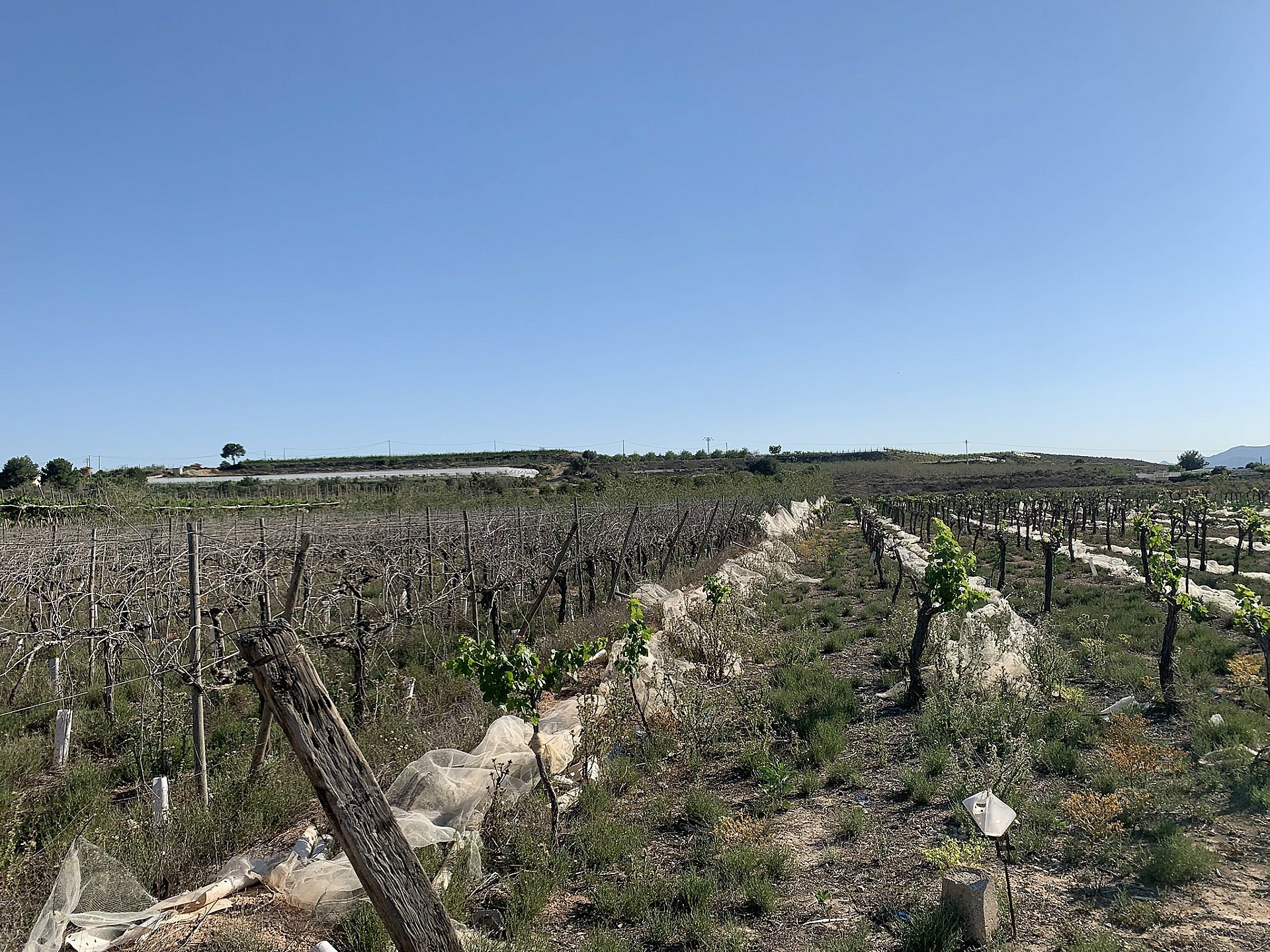 Land In Monforte Del Cid, Spain (17.816 M² Plot)