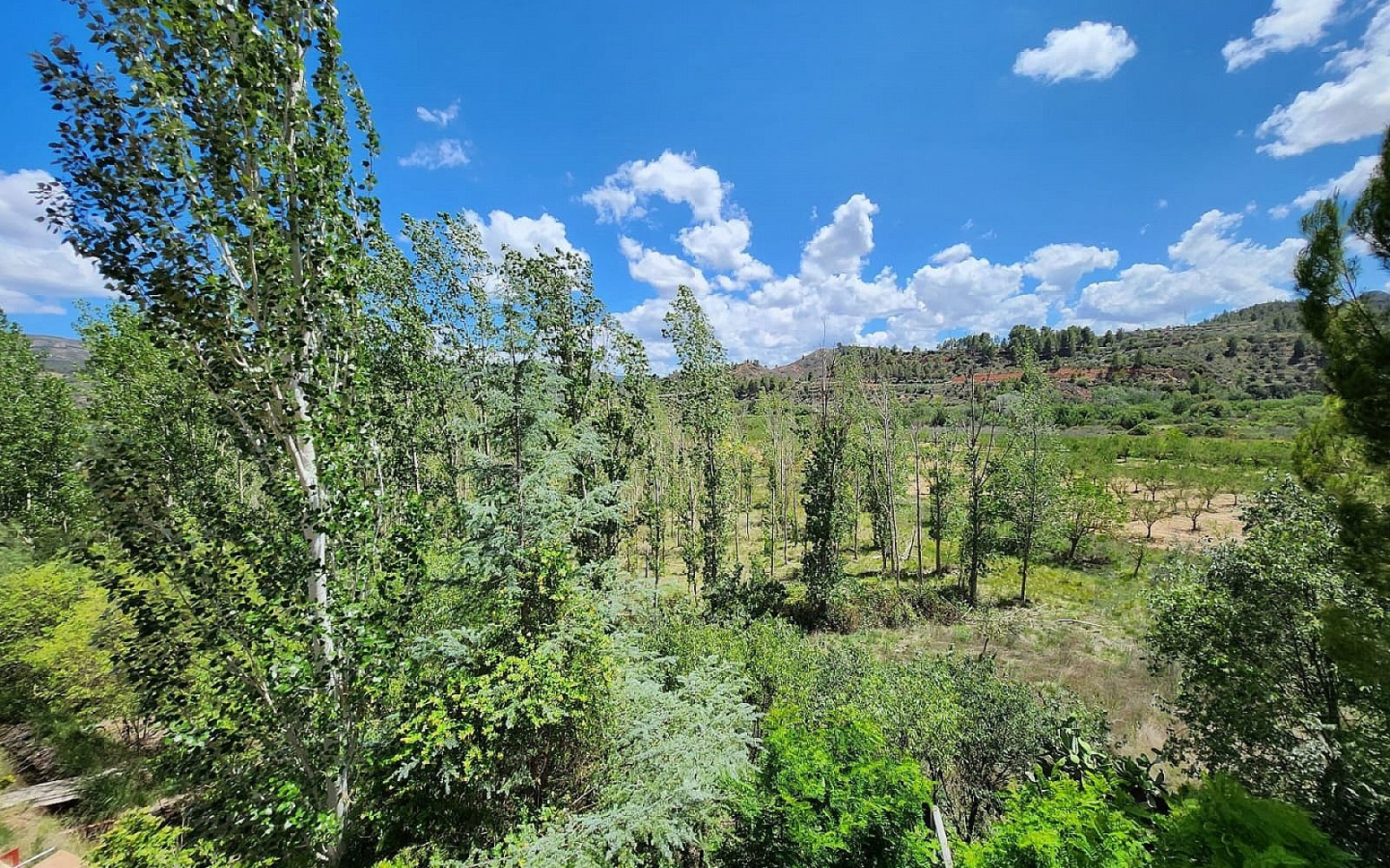 10-bedroom Country House In Jalance, Spain (811 M²)