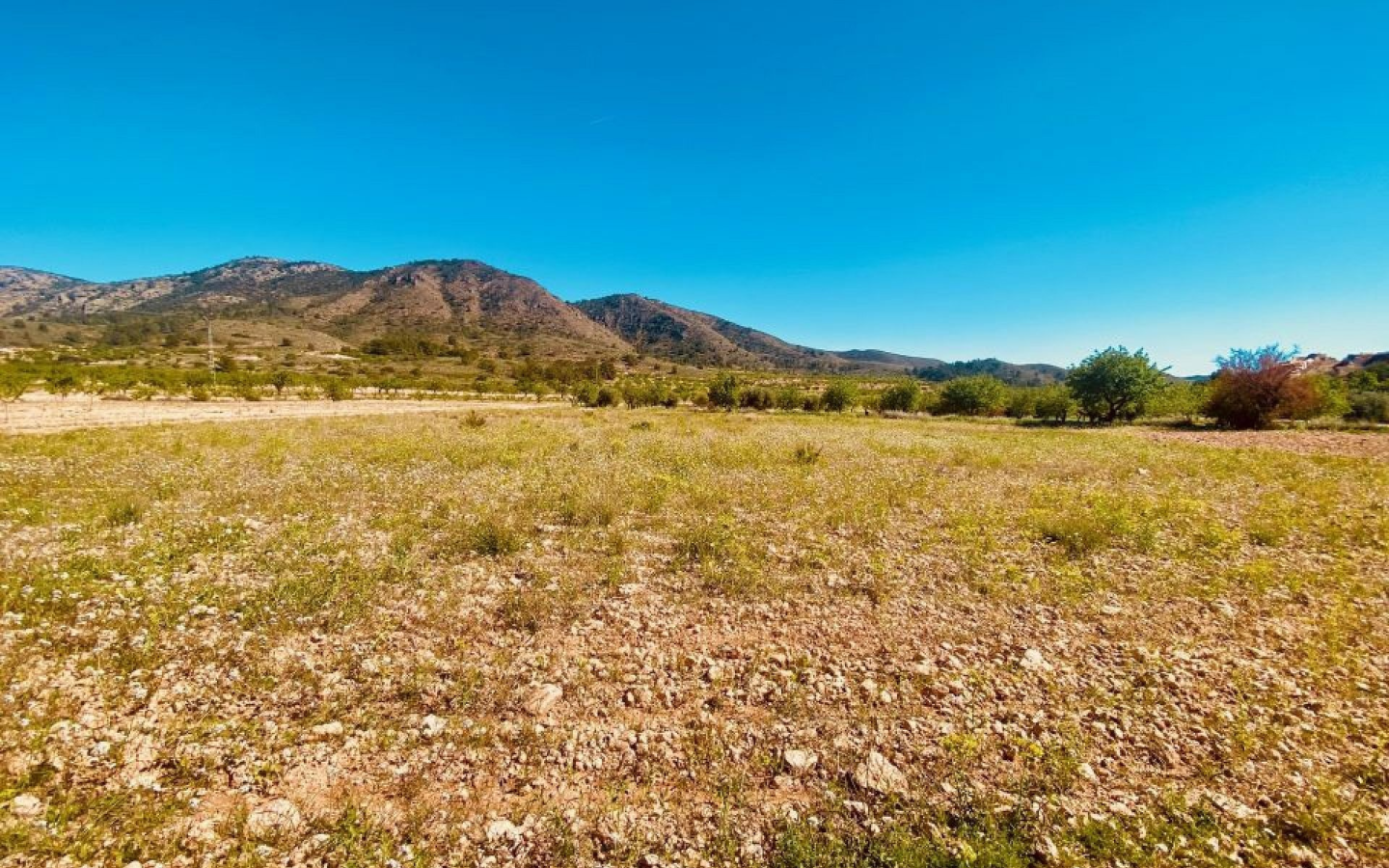5-bedroom Country House In El Cantón, Spain (308 M²)