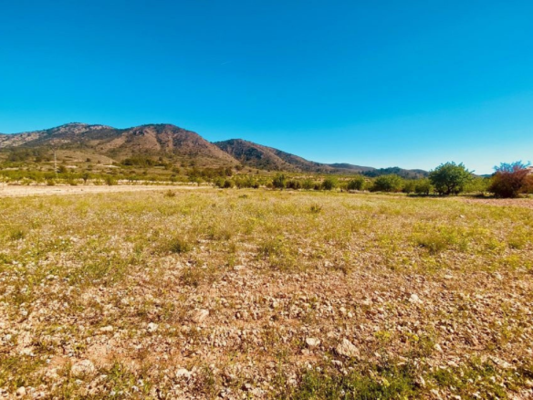 5-bedroom Country House In El Cantón, Spain (308 M²)