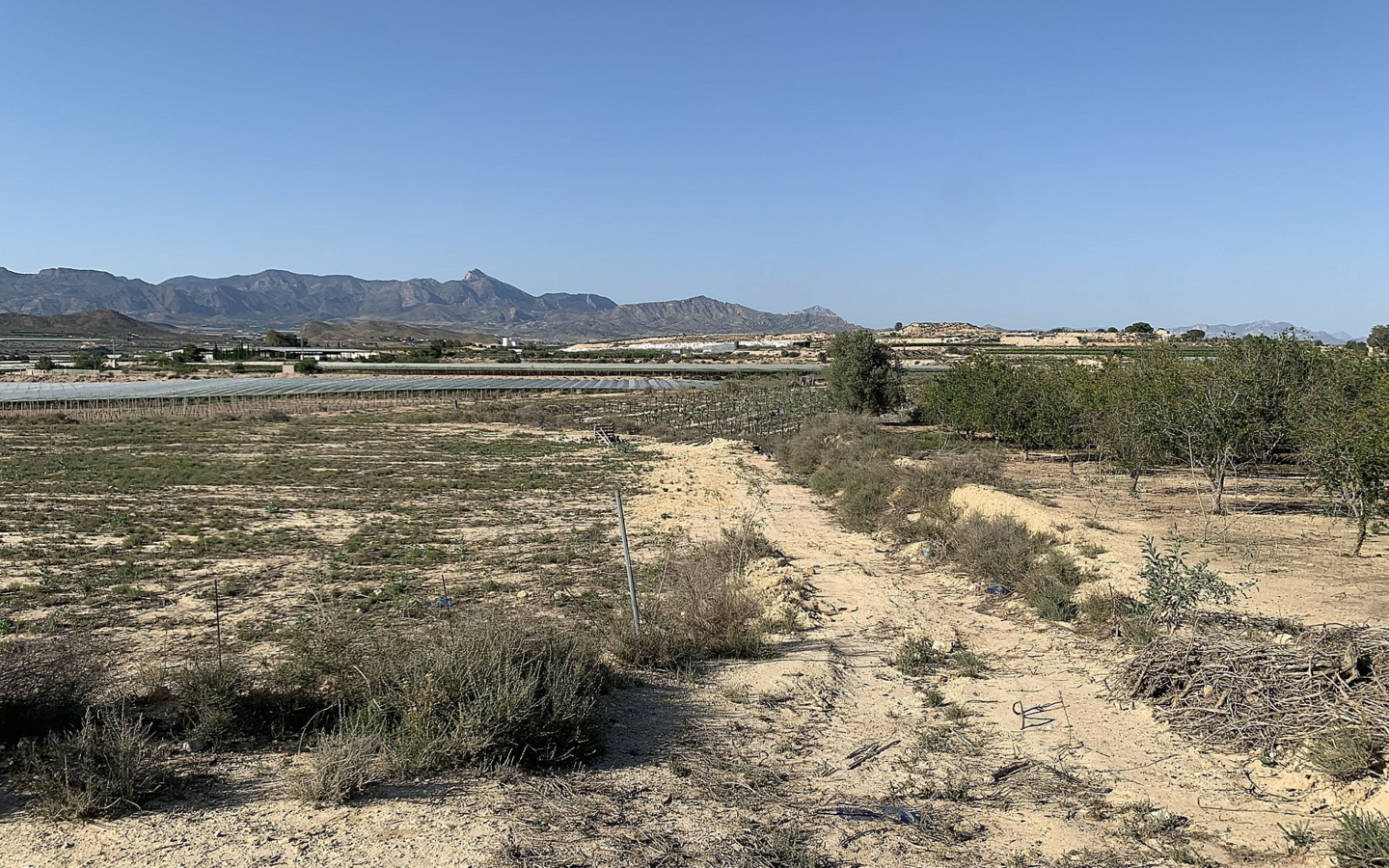 Land In Monforte Del Cid, Spain (17.816 M² Plot)