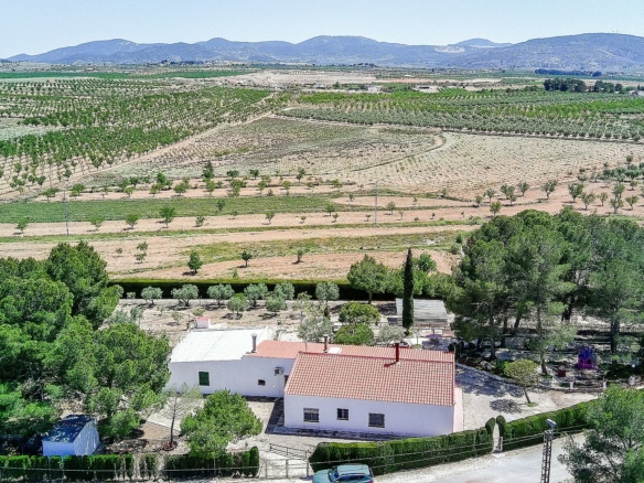 6-bedroom Country House In Pinoso, Spain (291 M²)