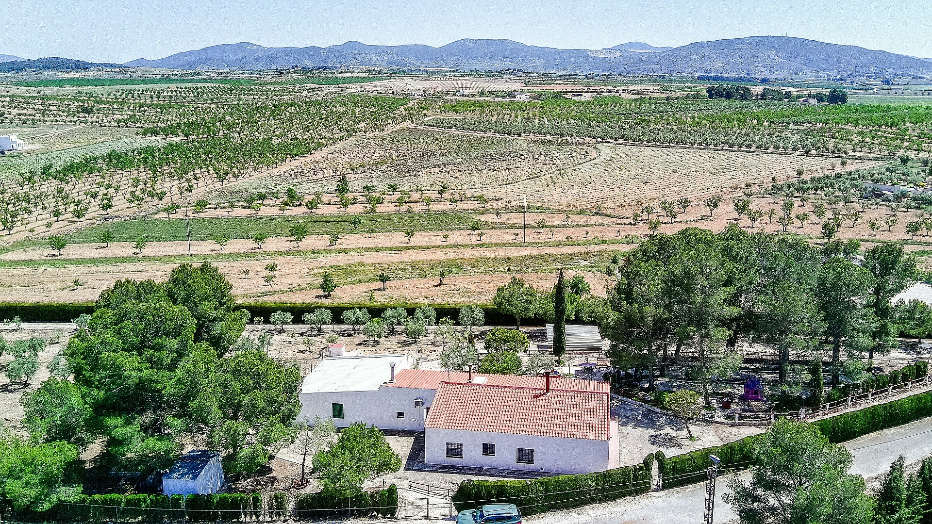 6-bedroom Country House In Pinoso, Spain (291 M²)