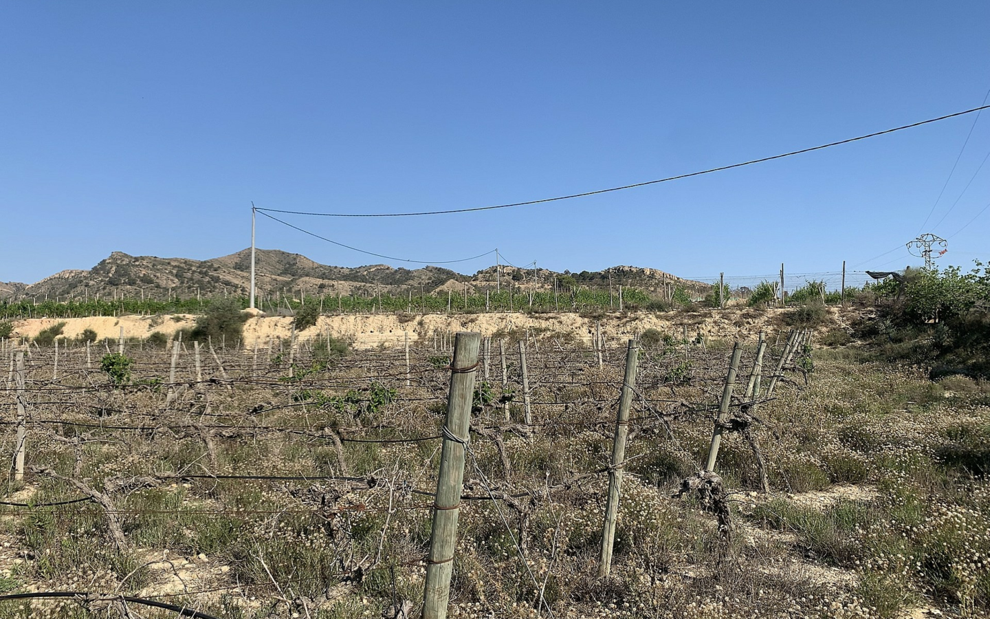 Land In Monforte Del Cid, Spain (11.516 M² Plot)