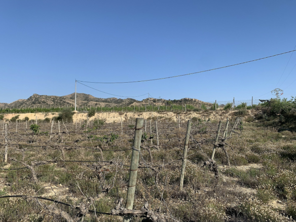 Land In Monforte Del Cid, Spain (11.516 M² Plot)