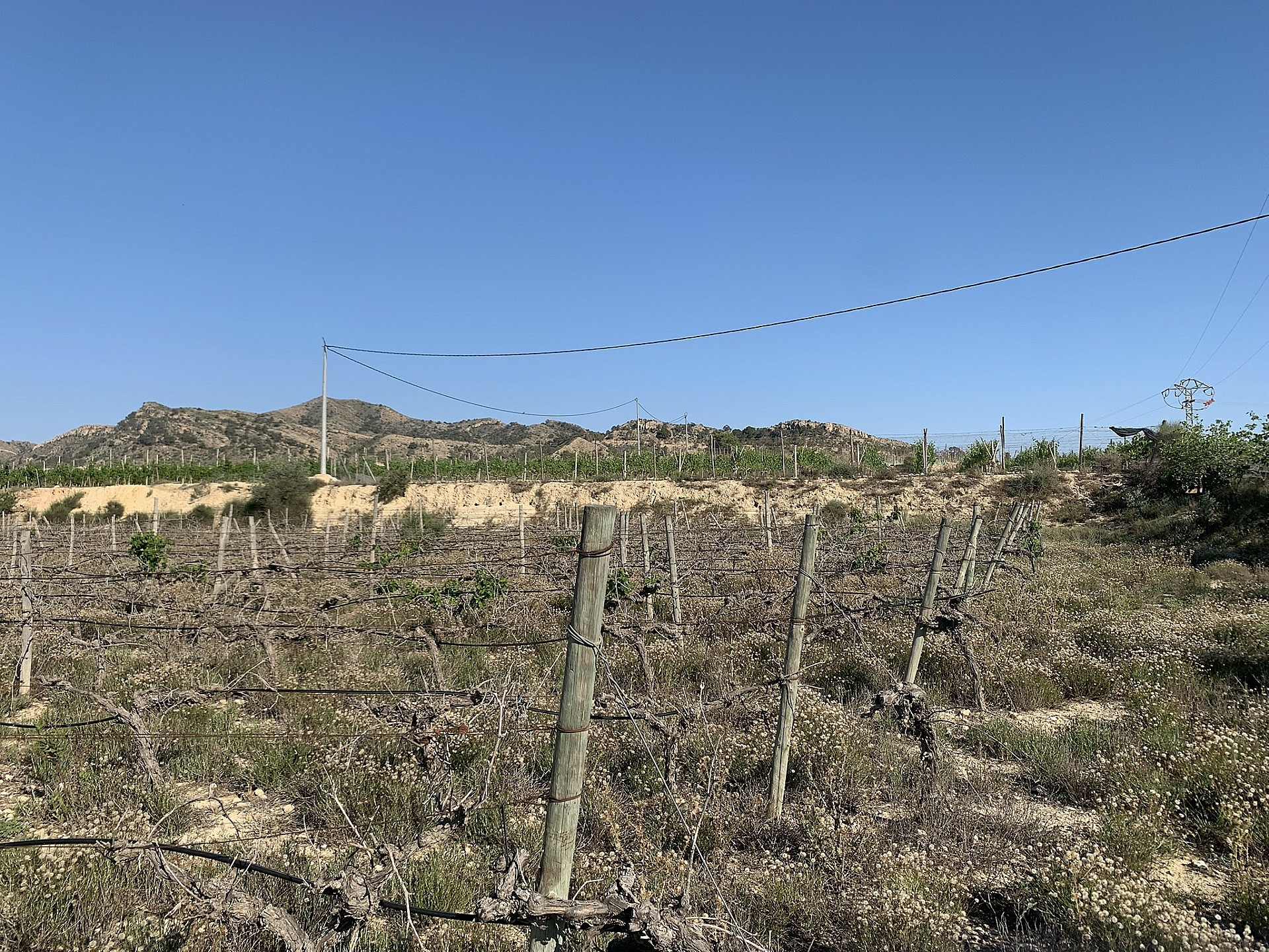 Land In Monforte Del Cid, Spain (11.516 M² Plot)