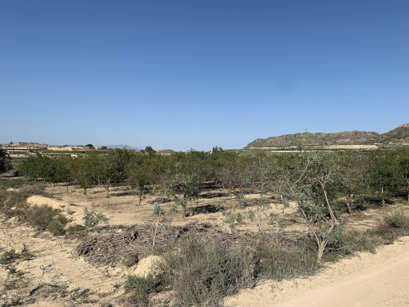 Land In Monforte Del Cid, Spain (17.816 M² Plot)