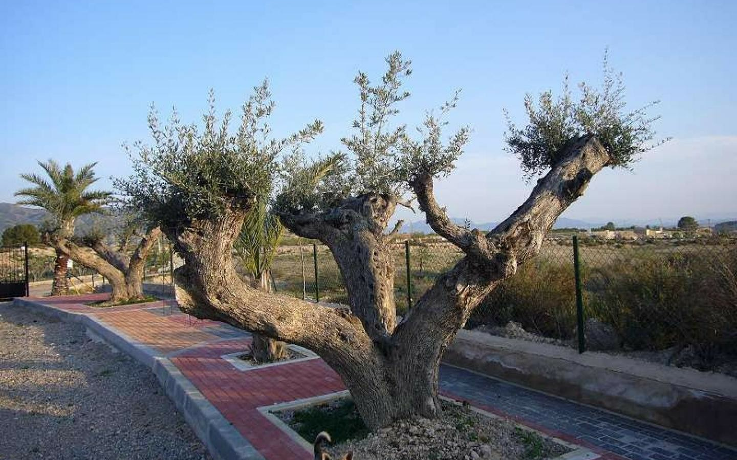 3-bedroom Detached Villa In Abanilla, Spain (230 M²)
