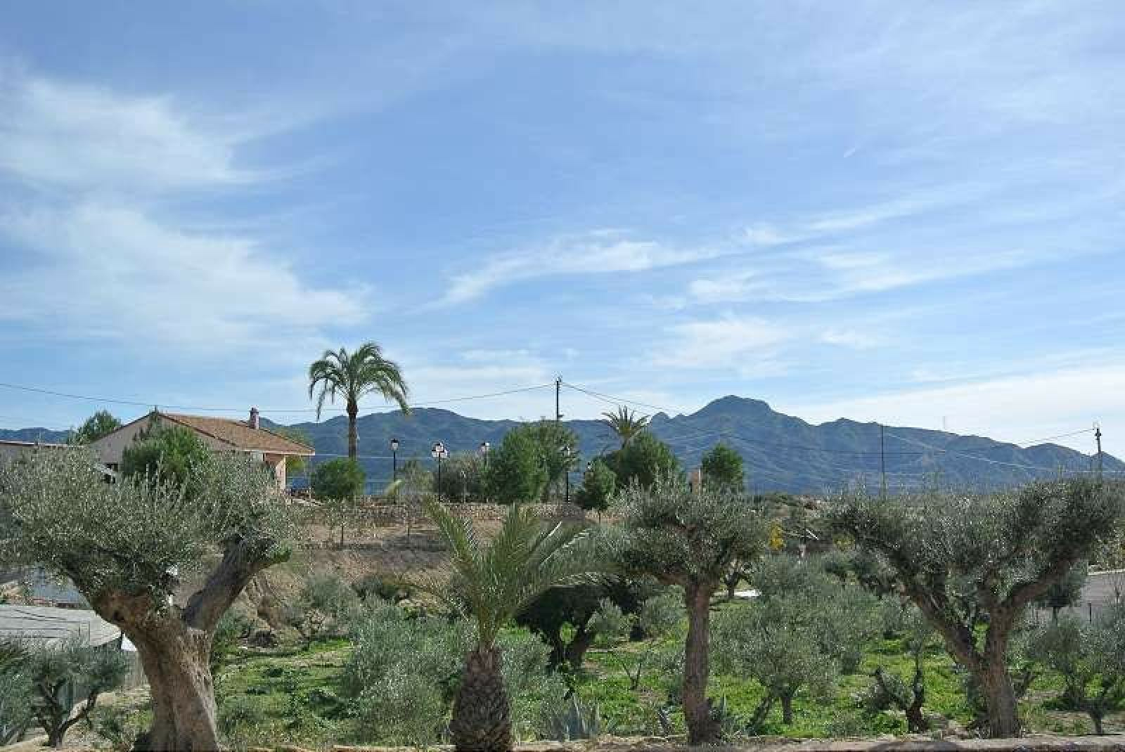 3-bedroom Detached Villa In Abanilla, Spain (230 M²)