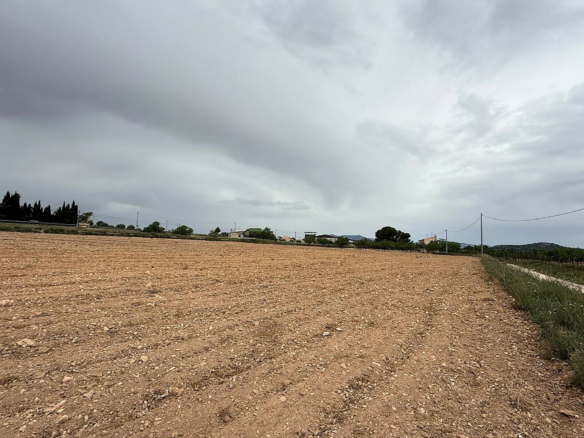Land In Culebron, Spain (30.354 M² Plot)