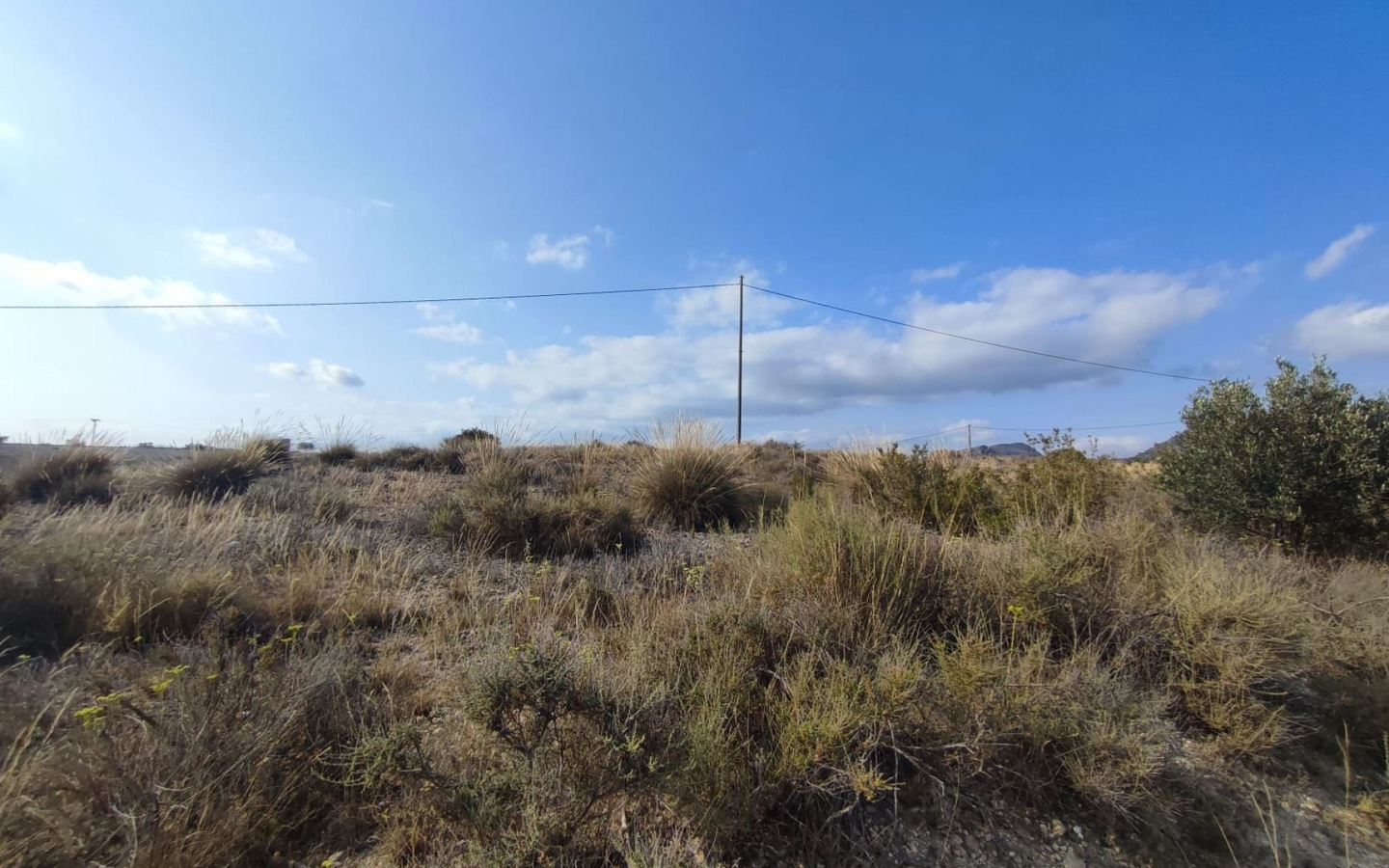 Land In Sax, Spain (15.309 M² Plot)