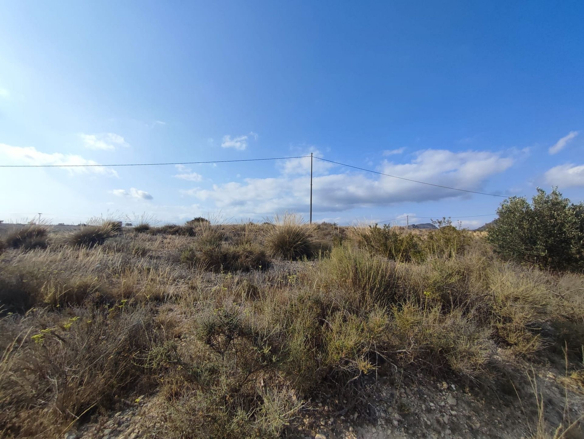 Land In Sax, Spain (15.309 M² Plot)