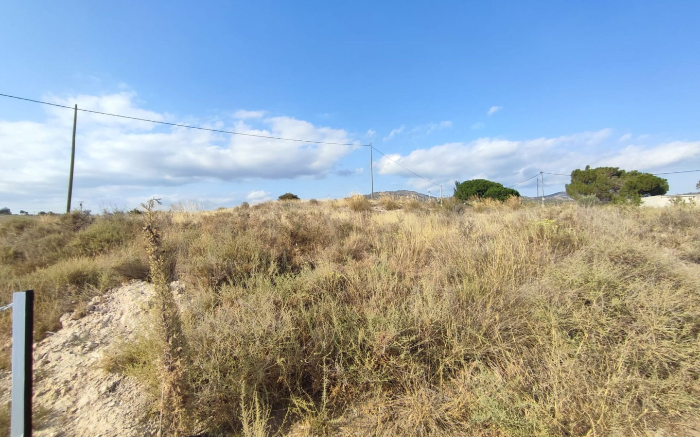 Land In Sax, Spain (15.309 M² Plot)