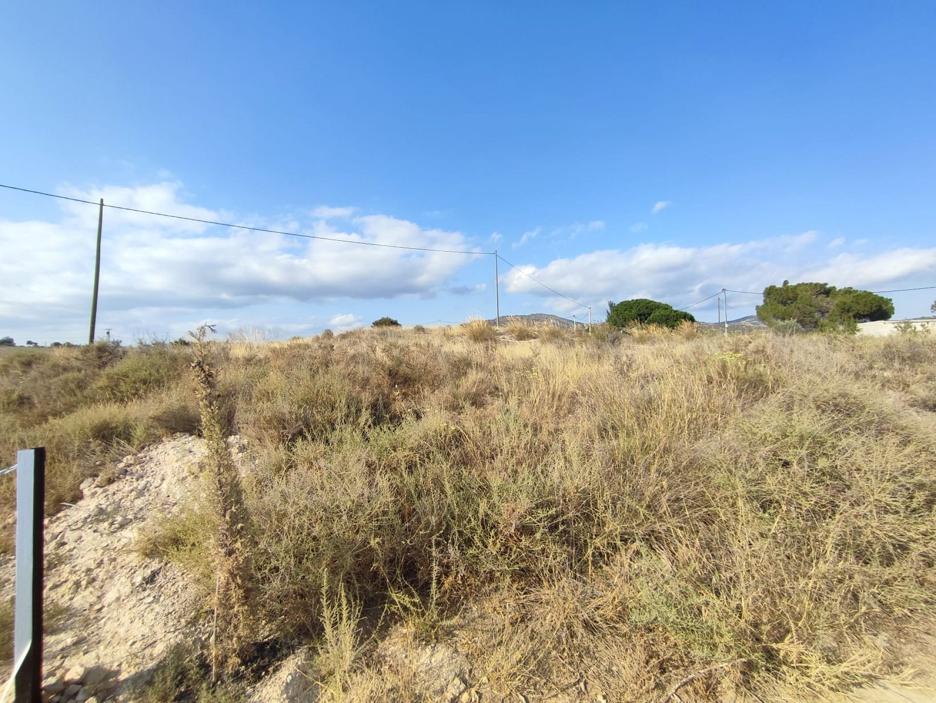 Land In Sax, Spain (15.309 M² Plot)