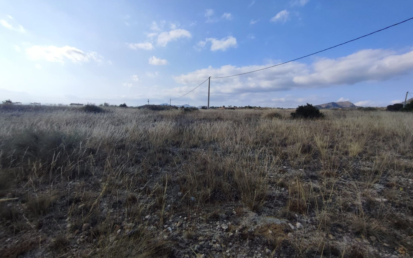Land In Sax, Spain (15.309 M² Plot)