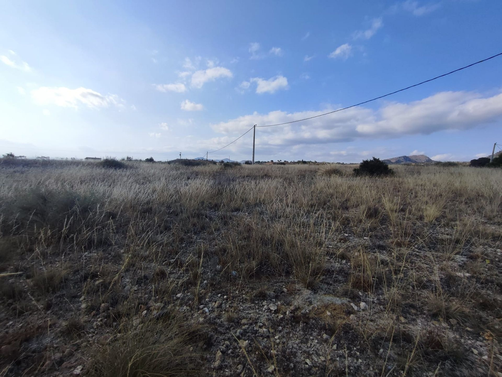 Land In Sax, Spain (15.309 M² Plot)