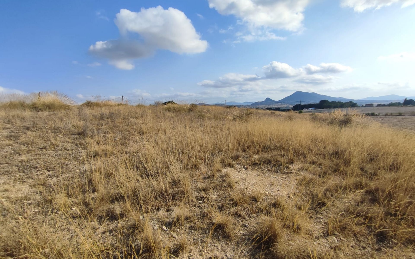 Land In Sax, Spain (15.309 M² Plot)