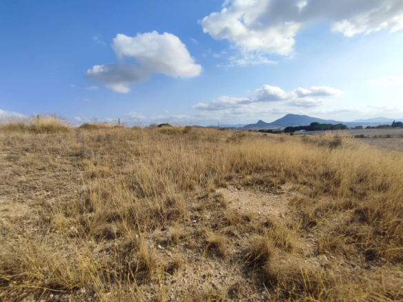Land In Sax, Spain (15.309 M² Plot)