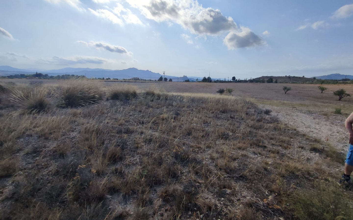 Land In Sax, Spain (15.309 M² Plot)