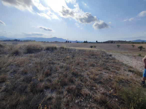 Land In Sax, Spain (15.309 M² Plot)