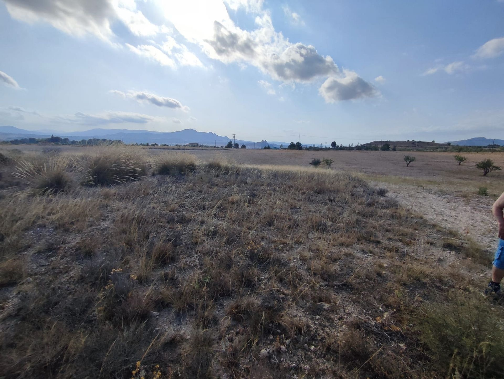 Land In Sax, Spain (15.309 M² Plot)