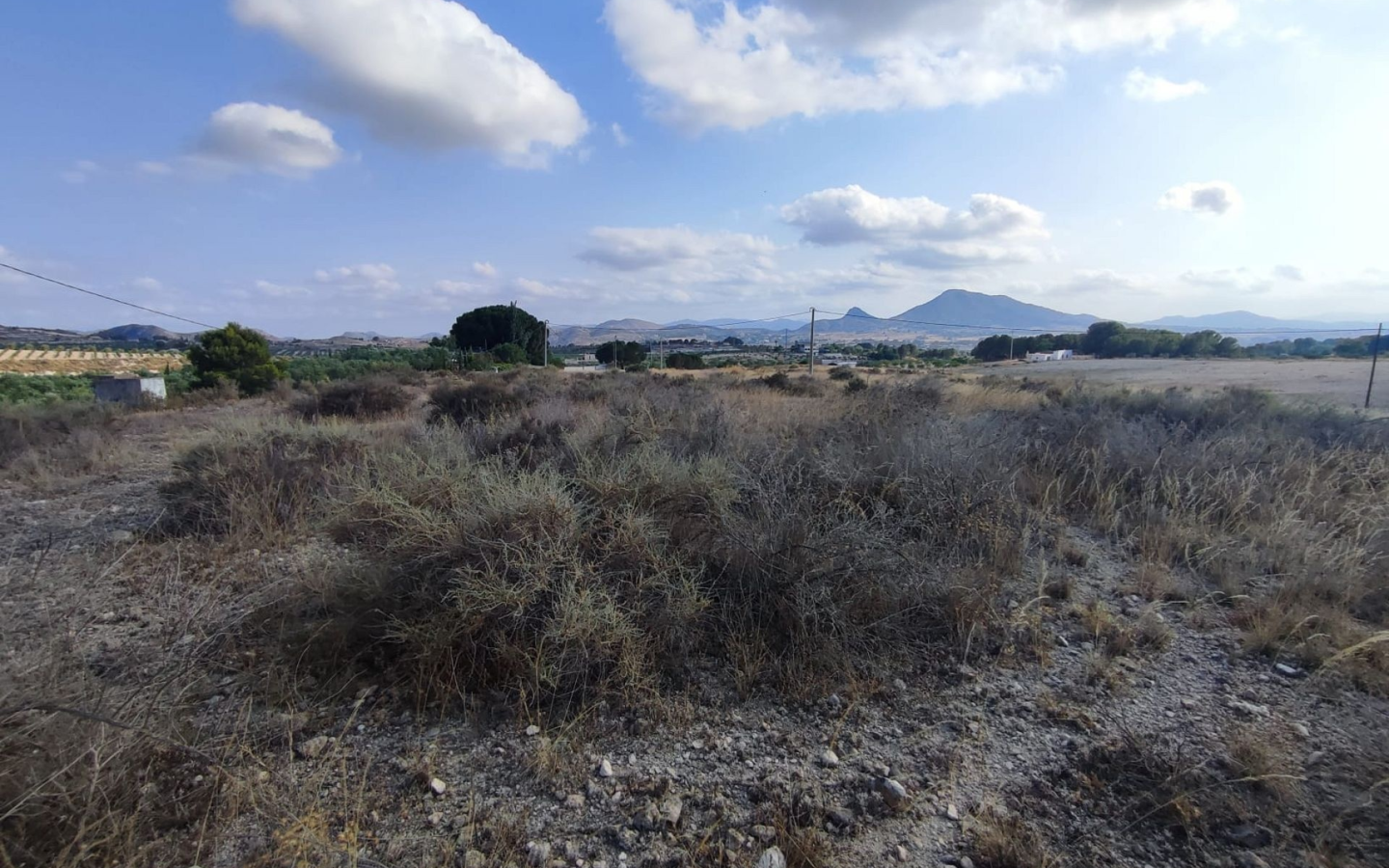 Land In Sax, Spain (15.309 M² Plot)