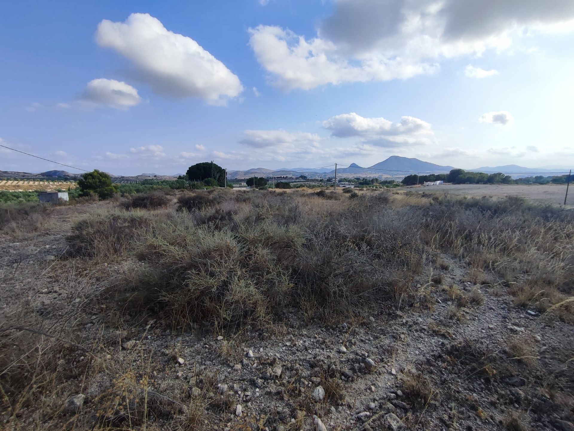Land In Sax, Spain (15.309 M² Plot)