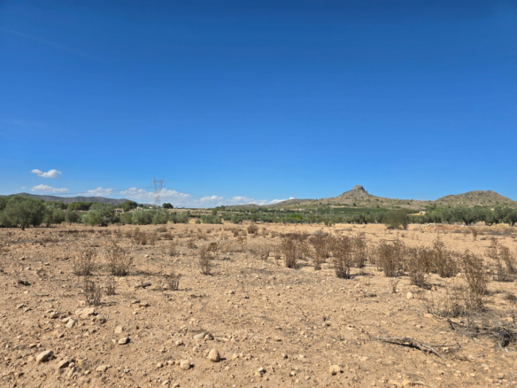 Land In Salinas, Spain (13.753 M²)