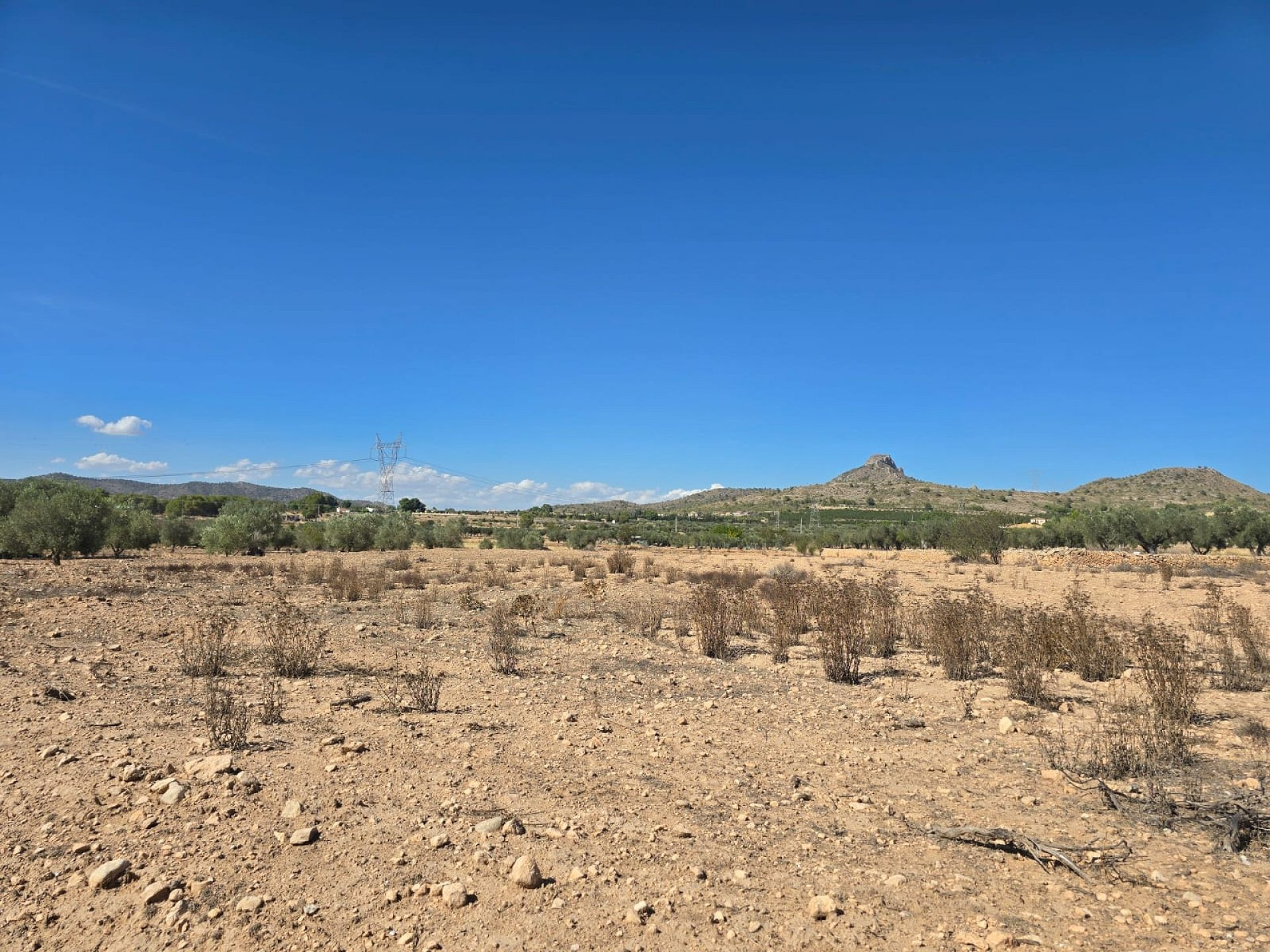 Land In Salinas, Spain (13.753 M²)