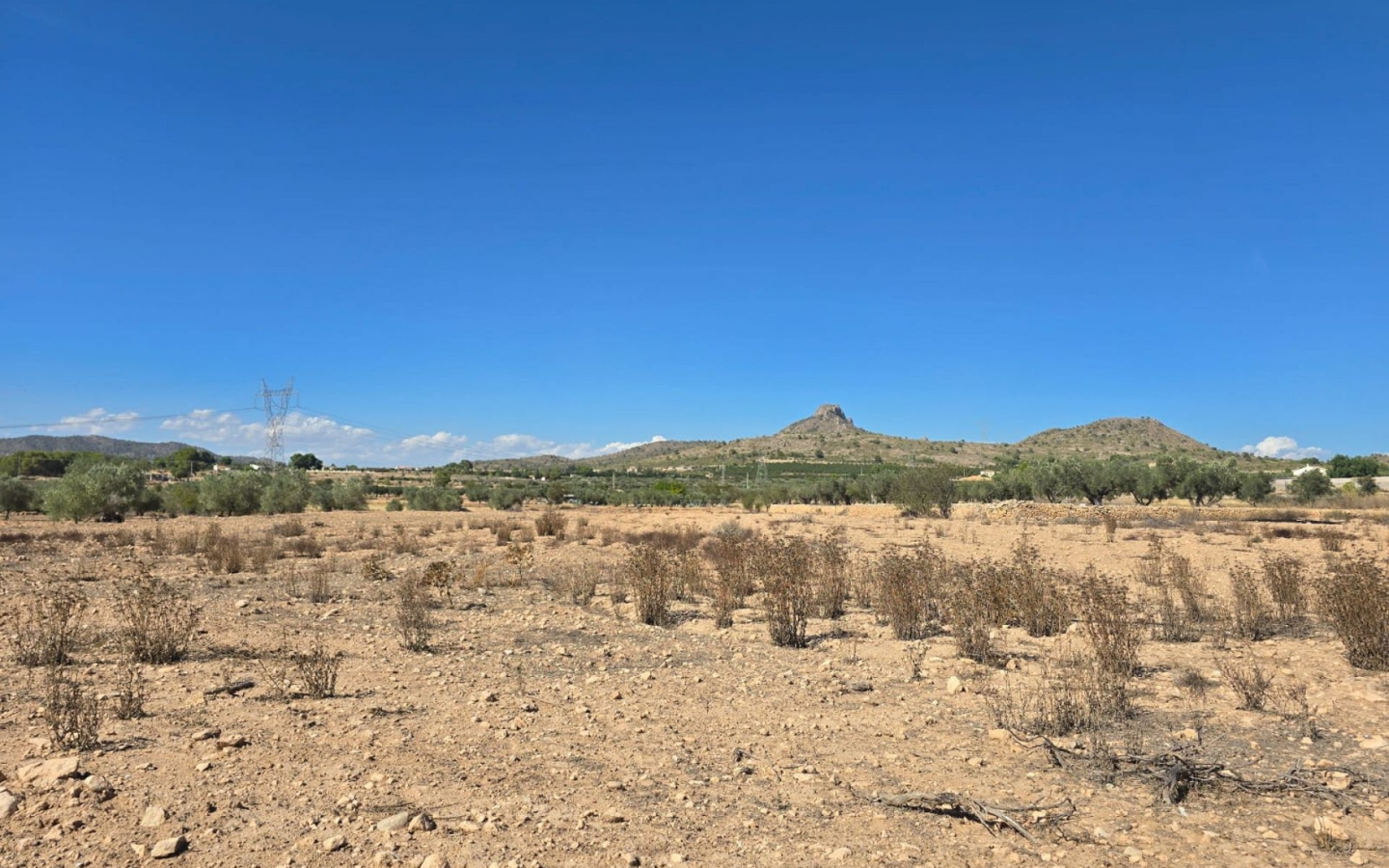 Land In Salinas, Spain (13.753 M²)