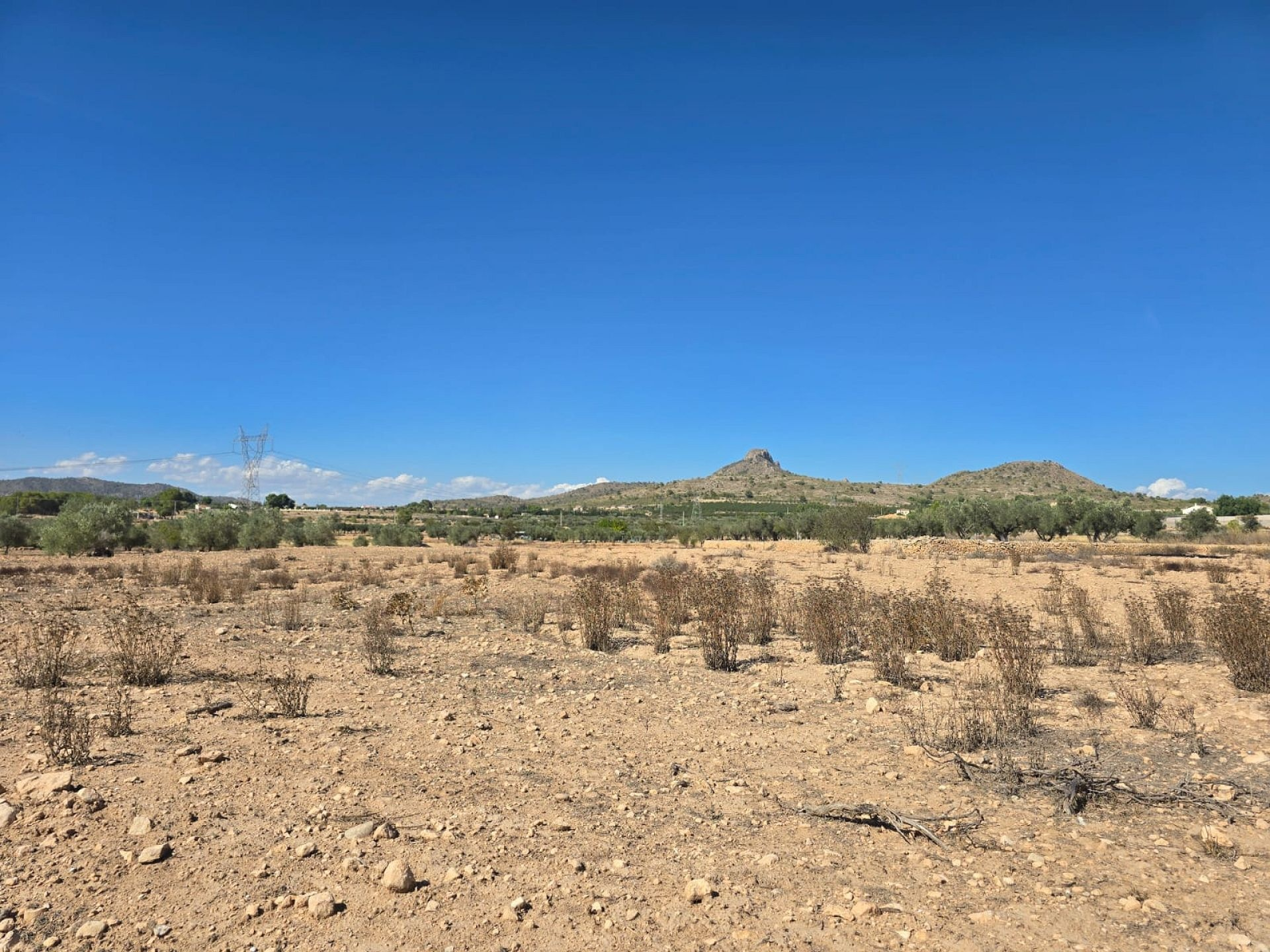 Land In Salinas, Spain (13.753 M²)