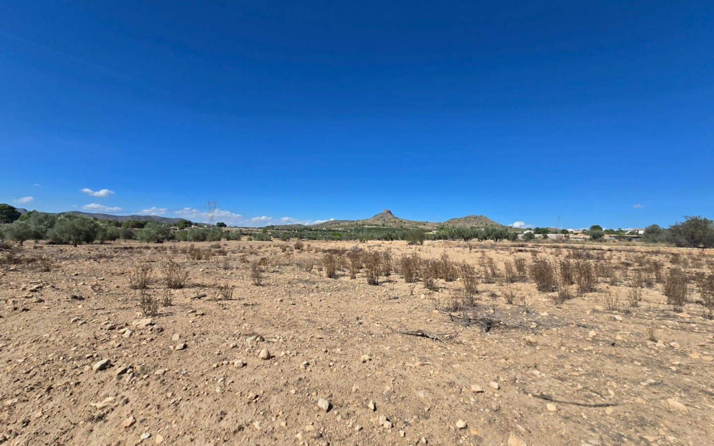 Land In Salinas, Spain (13.753 M²)