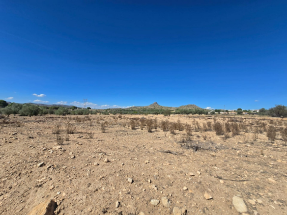 Land In Salinas, Spain (13.753 M²)