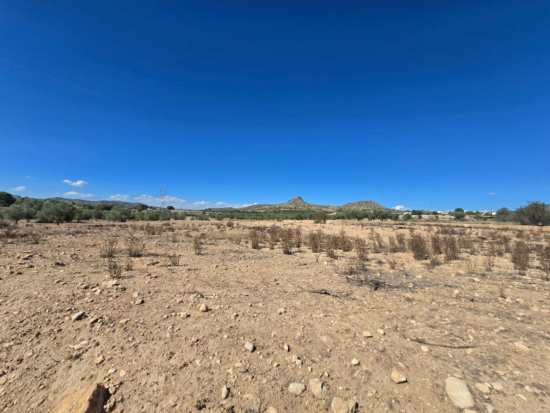 Land In Salinas, Spain (13.753 M²)