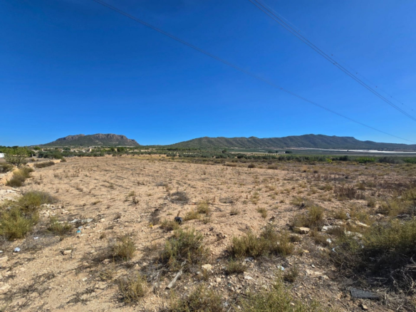 Land In Salinas, Spain (13.753 M²)
