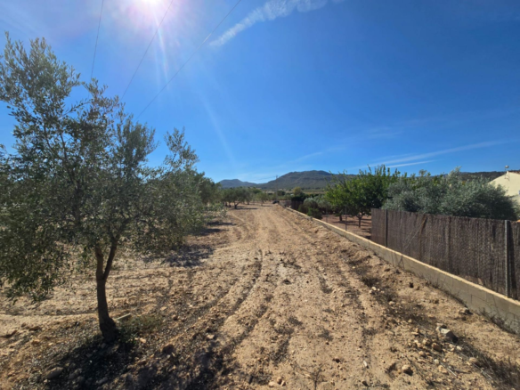 Land In Salinas, Spain (18.088 M²)