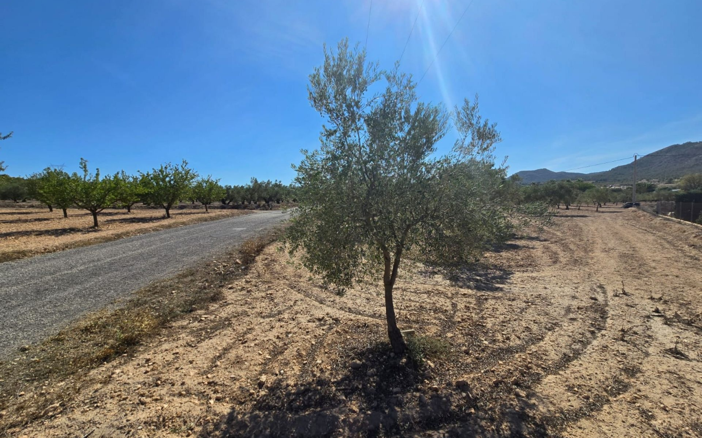 Land In Salinas, Spain (18.088 M²)