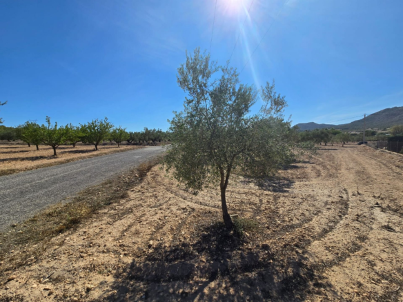 Land In Salinas, Spain (18.088 M²)
