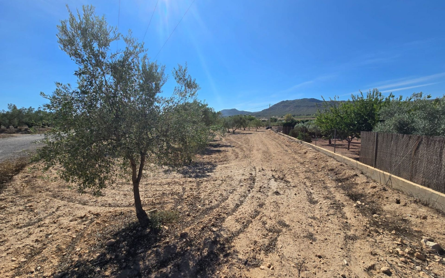 Land In Salinas, Spain (18.088 M²)