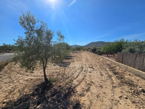 Land In Salinas, Spain (18.088 M²)