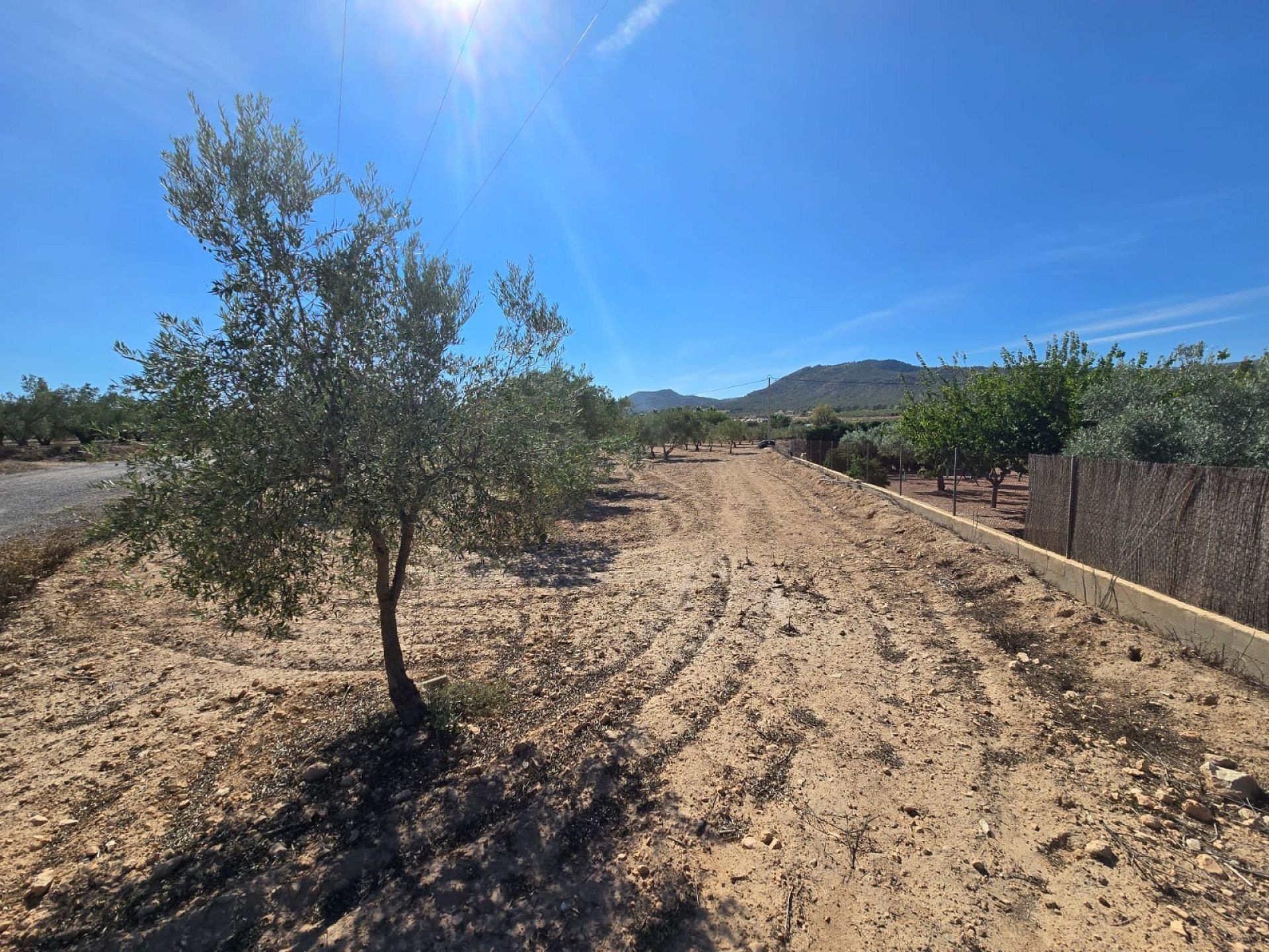w_whatsapp-image-2025-09-12-at-16.31.47-2–f052a8 Land In Salinas, Spain (18.088 M²)