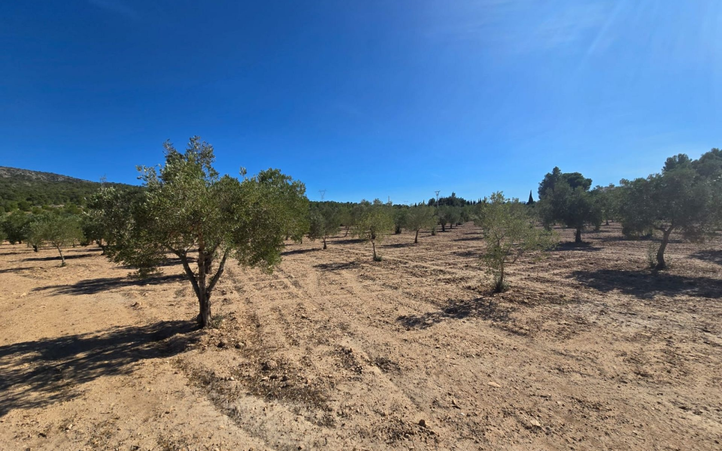 Land In Salinas, Spain (18.088 M²)