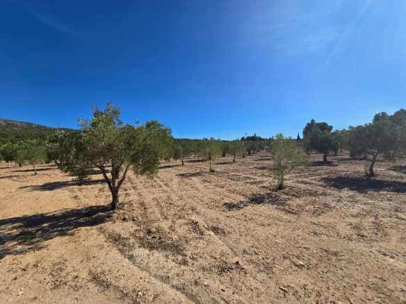 Land In Salinas, Spain (18.088 M²)